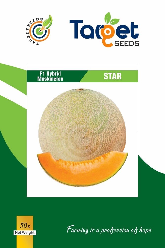 Star Muskmelon