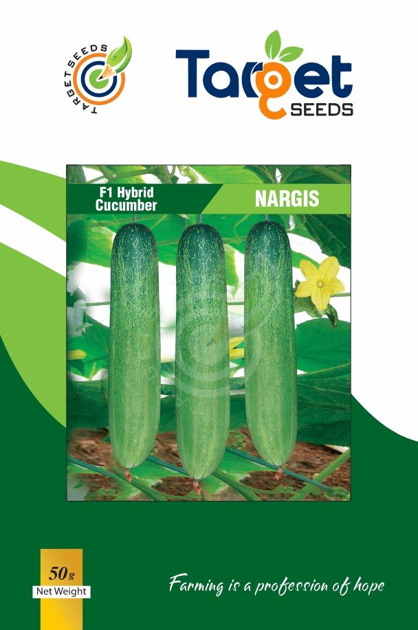 Nargis Cucumber