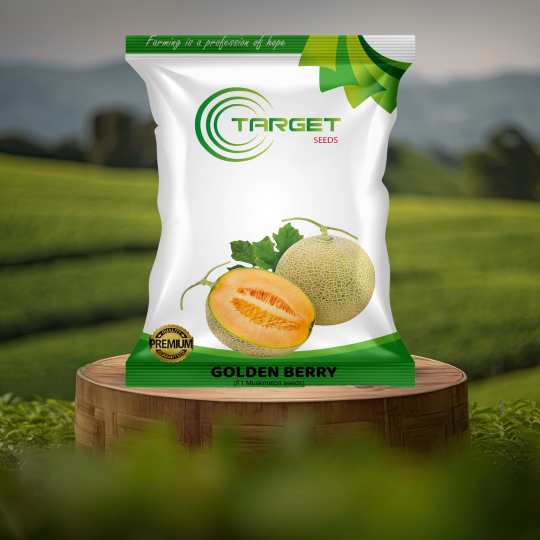 GOLDEN BERRY